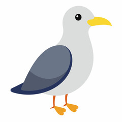 cute bird of Gull bird vector illustration,