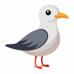 cute bird of Gull bird vector illustration,