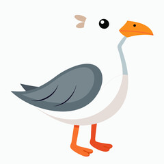 cute bird of Gull bird vector illustration,