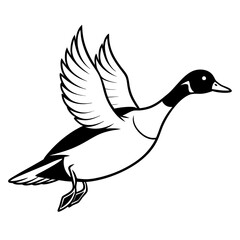 Pintail Duck flying  vector illustration svg file