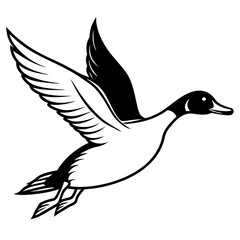 Obraz premium Pintail Duck flying vector illustration svg file