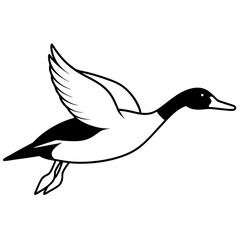 Pintail Duck flying  vector illustration svg file