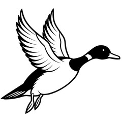 Pintail Duck flying  vector illustration svg file