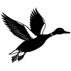 Pintail Duck flying  vector illustration svg file