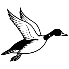 Pintail Duck flying  vector illustration svg file