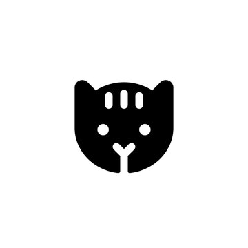 back & white cat