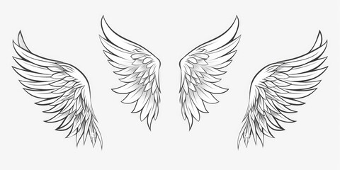 Obraz premium Three colorful wings on a clean white background