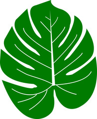 Exotic Green Leaf Icon for Natural Bio Labels and Packaging. Plant Icon Design. Tropical Jungle Leaf for Eco Friendly Vegan Products.