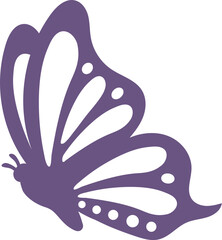 Obraz premium Butterfly