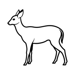 silhouette of a deer