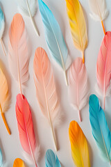 pastel colored feathers on a white background, in a minimalist, flat lay style.Creative nature concept.