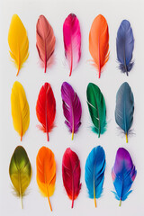  Colorful feathers arranged in rows on a white background.