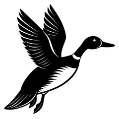 duck isolated on white background