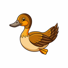 duck isolated on white