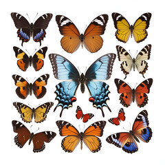 Fototapeta premium View of colorful butterflies with their wings spread open. AI generative image.