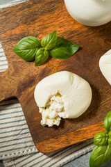 Organic Creamy White Burrata Cheese