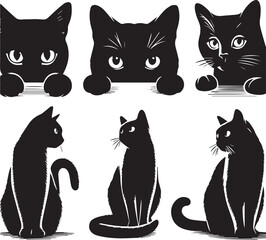 black and white cats set