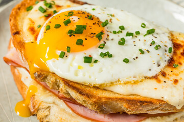 French Croque Madame Sandwich