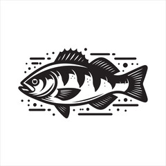 Sea Bass Vector