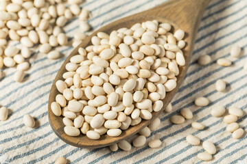 White Organic Raw Navy Beans