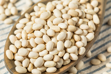 White Organic Raw Navy Beans