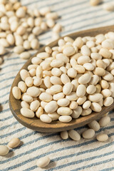 White Organic Raw Navy Beans