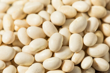 White Organic Raw Navy Beans
