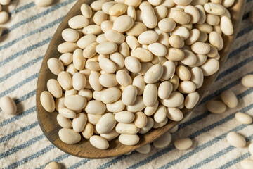 White Organic Raw Navy Beans