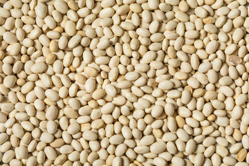 White Organic Raw Navy Beans