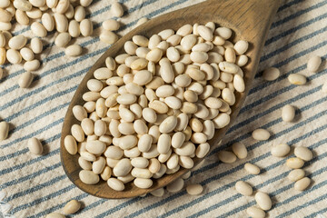 White Organic Raw Navy Beans