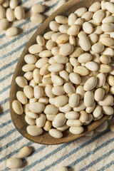 White Organic Raw Navy Beans
