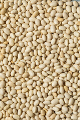 White Organic Raw Navy Beans
