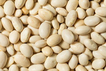 White Organic Raw Navy Beans
