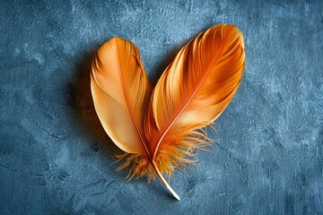 Two vibrant orange feathers arranged in a heart shape against a blue textured backdrop