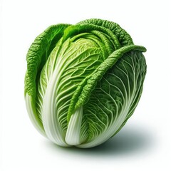 Obraz premium Fresh Chinese Cabbage isolated on a white background