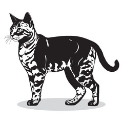 Bengal Cat silhouettes and icons. Black flat color simple elegant white background Bengal Cat animal vector and illustration.