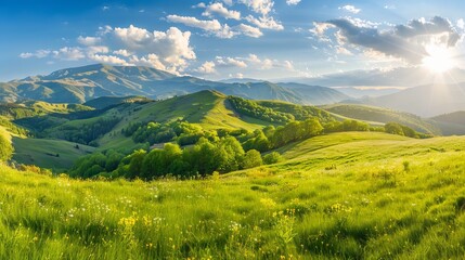 Fototapeta premium Natural forest landscape