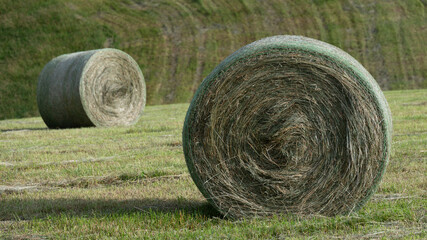 Hay Harvest in the Foothills of the Appalachian Mountains