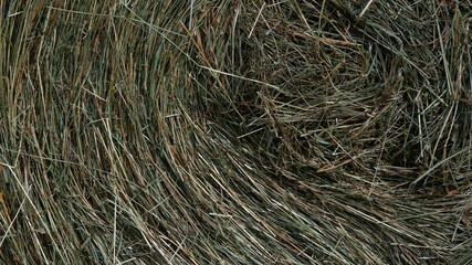 Abstract – A Close Look at the Side of a Hay Roll