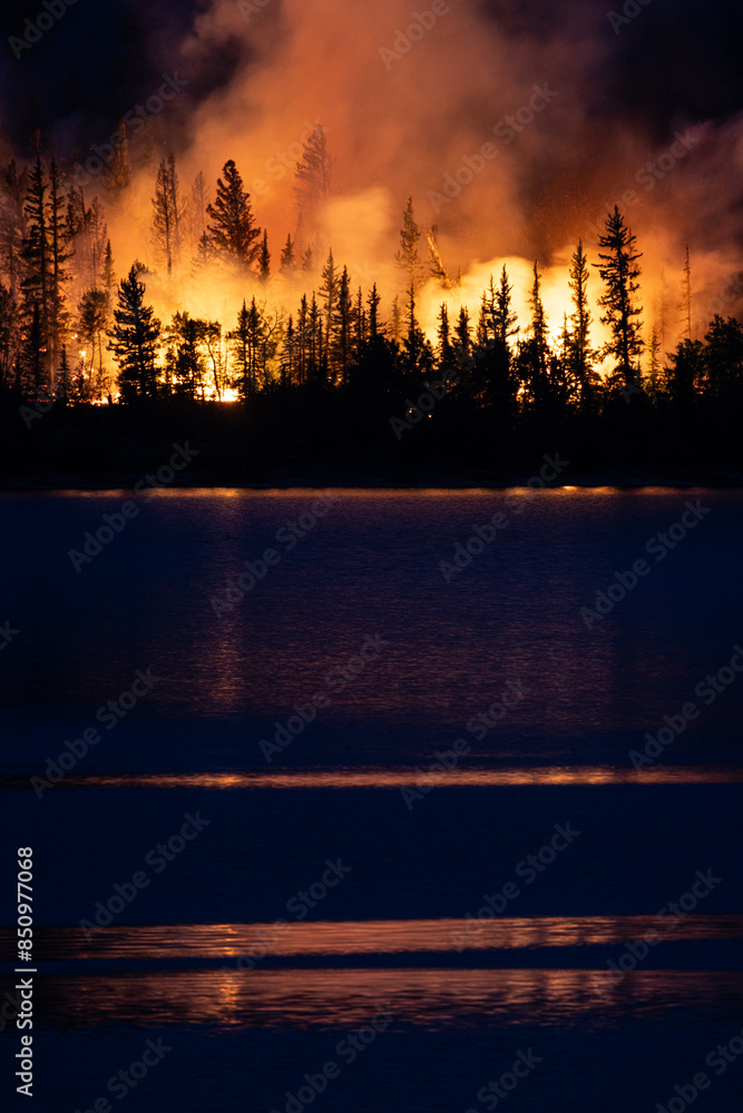 Wall mural forest fire near interlaken, twin lakes, colorado.