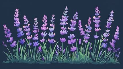 Fototapeta premium Purple flowers growing on grass against dark blue background