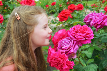 Naklejka premium A beautiful little girl with long hair sniffs roses, lush red flowers in the park in summer. background for the design.