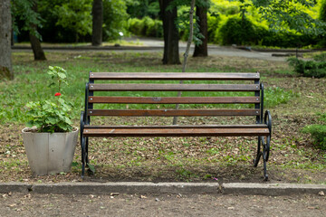 Wooden bench in the park