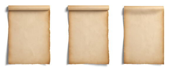  Three blank antique parchment scrolls with rolled edges, perfect for adding a touch of history or vintage charm to designs. Ideal for invitations, announcements, historical documents,or fantasy-theme