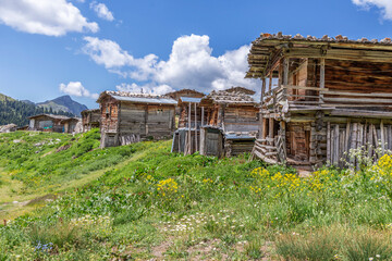 Wooden houses, masterpieces of rural architecture in the high parts of Artvin, Cancır