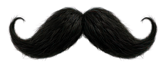 PNG Moustache white background portrait mustache.