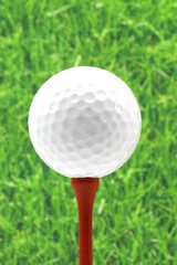 Golfing - recreational sport