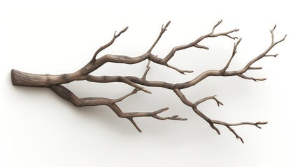 Fototapeta premium An intricate wooden sculpture resembling a tree branch lies against a pure white background, showcasing detailed textures