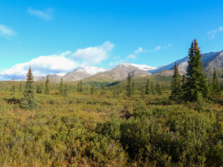 Alaska's beautiful Denali National Park in early fall