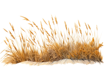 Outdoors plant grass tranquility. AI generated Image by rawpixel.